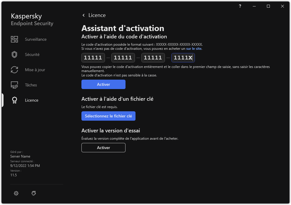 Fenêtre avec les outils d'activation de l'application. L'utilisateur peut saisir un code d'activation ou sélectionnez un fichier clé.