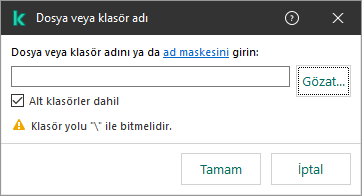 Bir dosya veya klasörün yolunu girmek için alan içeren bir pencere. Maskeler kullanılabilir. Kullanıcı, dosya yöneticisini kullanarak bir dosya seçebilir.