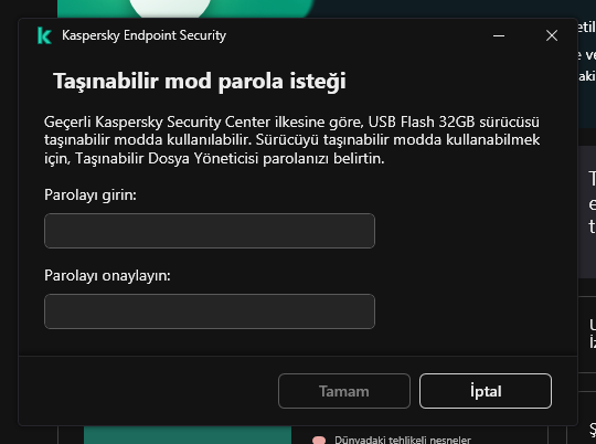 Pencere, parolanın girilmesi ve onaylanması için alanlar içerir.