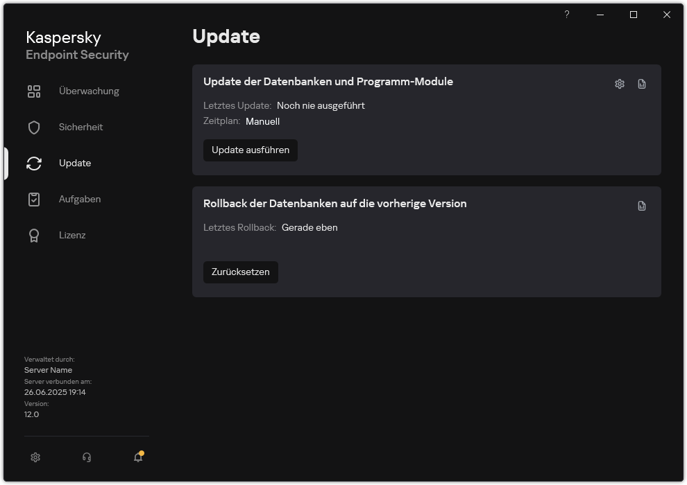 Ein Fenster mit der Liste der lokalen Update-Aufgaben. Der Benutzer kann das Update der Datenbanken und Programm-Module starten oder das letzte Update rückgängig machen.