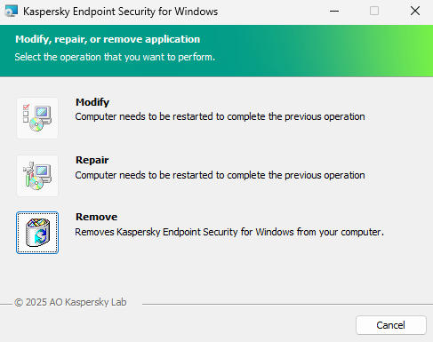 Installer window with a list of available operations: changing the set of components, repairing the application, removing the application.