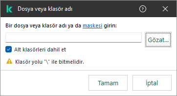 Bir dosya veya klasörün yolunu girmek için alan içeren bir pencere. Kullanıcı, dosya yöneticisini kullanarak bir dosya seçebilir.