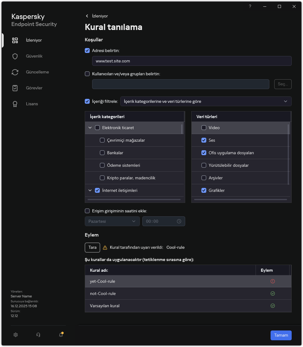 Web kaynağı test sonuçları penceresi.