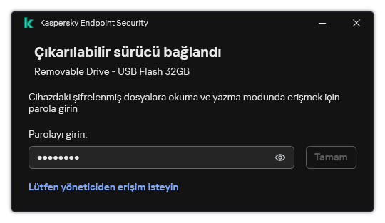 Pencere bir parola giriş alanı içerir. Kullanıcı bir dosya erişim isteği oluşturabilir.