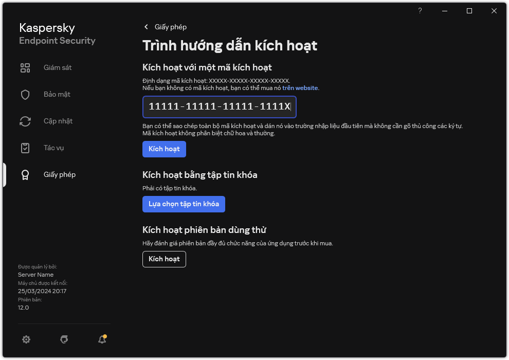 Cửa sổ chứa các công cụ kích hoạt ứng dụng. Người dùng có thể nhập mã kích hoạt hoặc chọn một tập tin khóa.