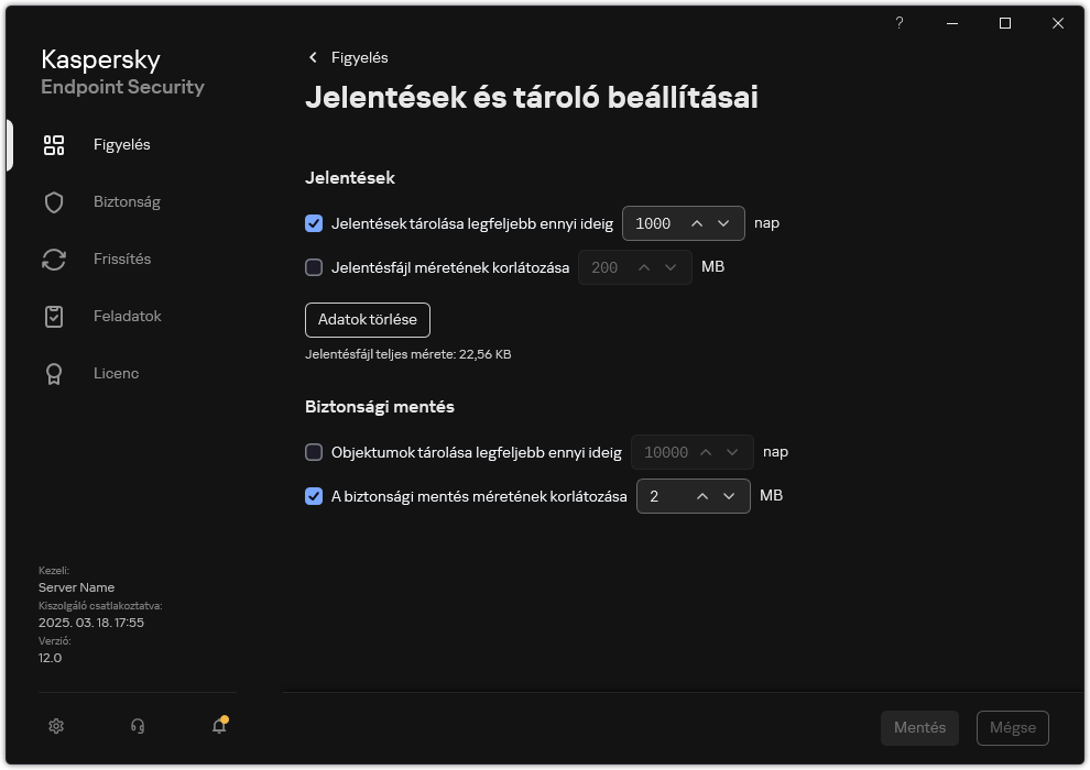 Jelentések és tároló beállításai ablak. A felhasználó beállíthatja a tárolóban lévő jelentések és objektumok méretét, és korlátozhatja a tárolási időt.
