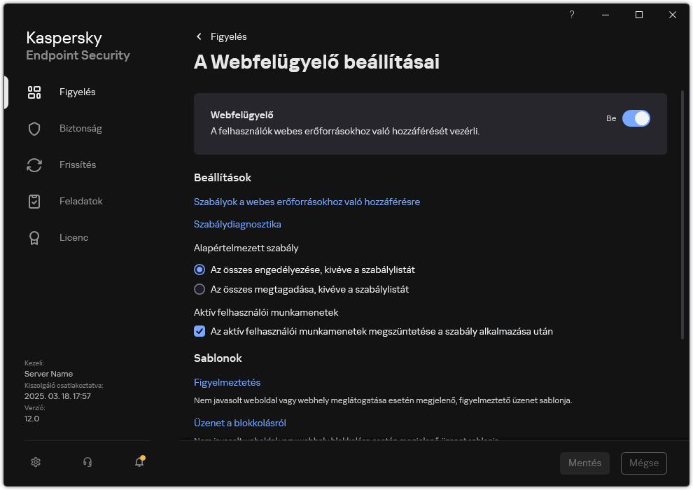 Webfelügyelői beállítások ablaka.