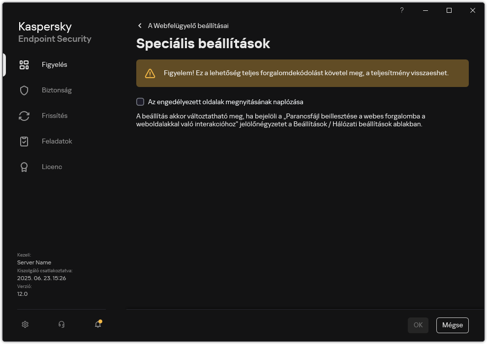 A Webfelügyelő speciális beállításainak ablaka.