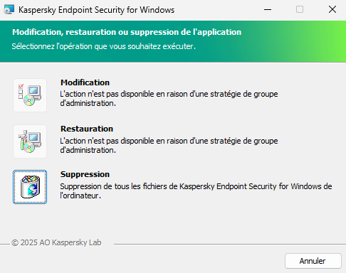 Fenêtre de l'installateur avec une liste des opérations disponibles : modification de l'ensemble des modules, réparation de l'application, suppression de l'application.