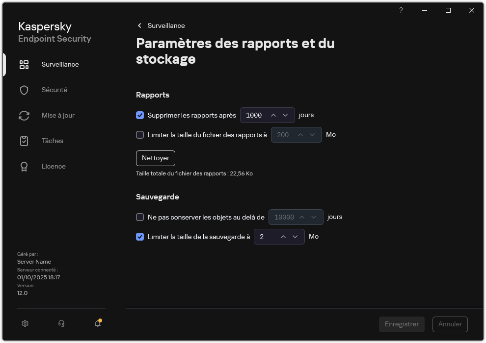 Fenêtre des paramètres des rapports et du stockage. L'utilisateur peut définir la taille, et limiter la durée de stockage des rapports et des objets dans le stockage.