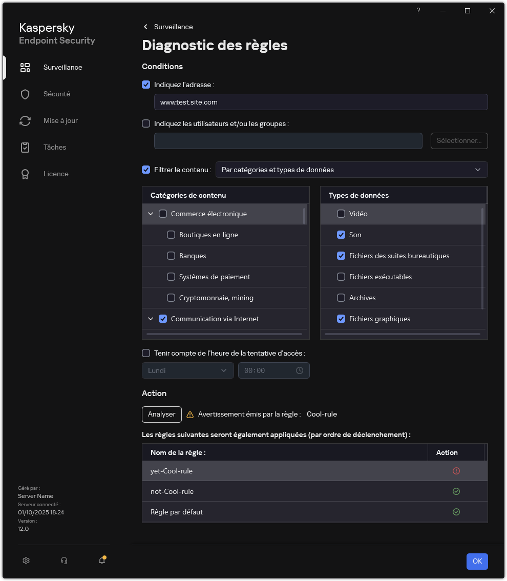 Fenêtre des résultats des tests des ressources Internet.
