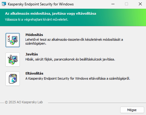 Telepítőablak az elérhető műveletek listájával: az összetevők készletének módosítása, az alkalmazás javítása, az alkalmazás eltávolítása.