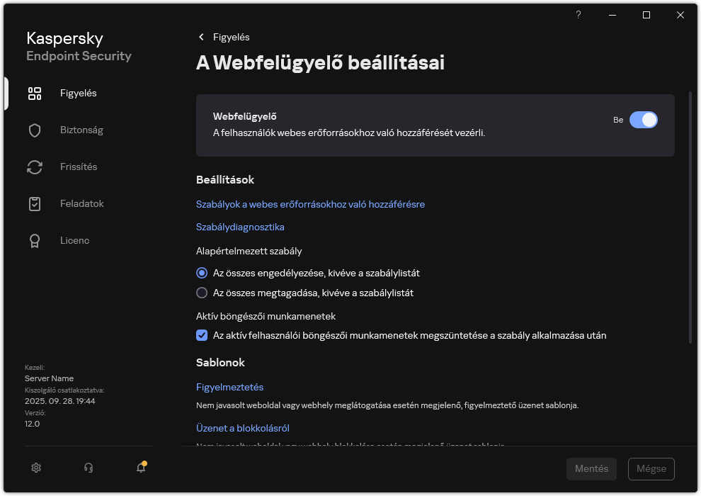 Webfelügyelői beállítások ablaka.