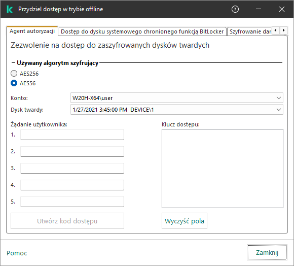 Okno z polami do wpisania treści żądania użytkownika oraz polem na wygenerowany klucz dostępu do zaszyfrowanego dysku.