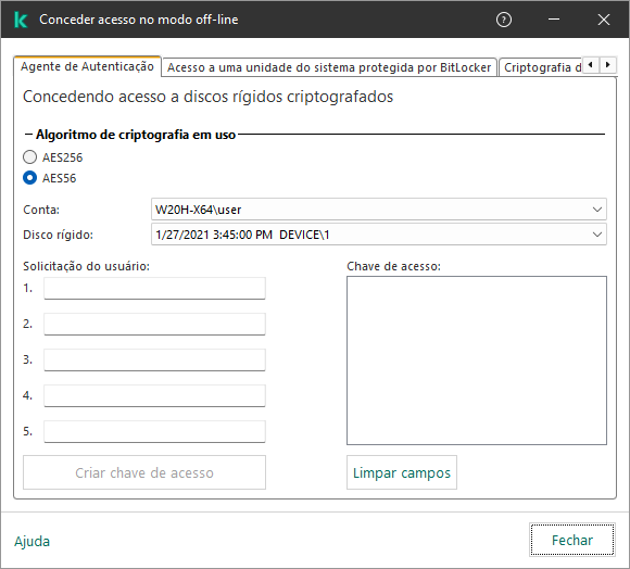Uma janela com campos para inserir o conteúdo da solicitação do usuário e um campo para a chave gerada para acessar o disco criptografado.