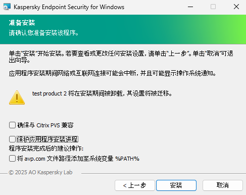 安装设置窗口：安装保护、与 Citrix PVS 的兼容性、avp.com 的系统变量。