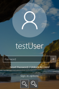 Operating system authentication window.