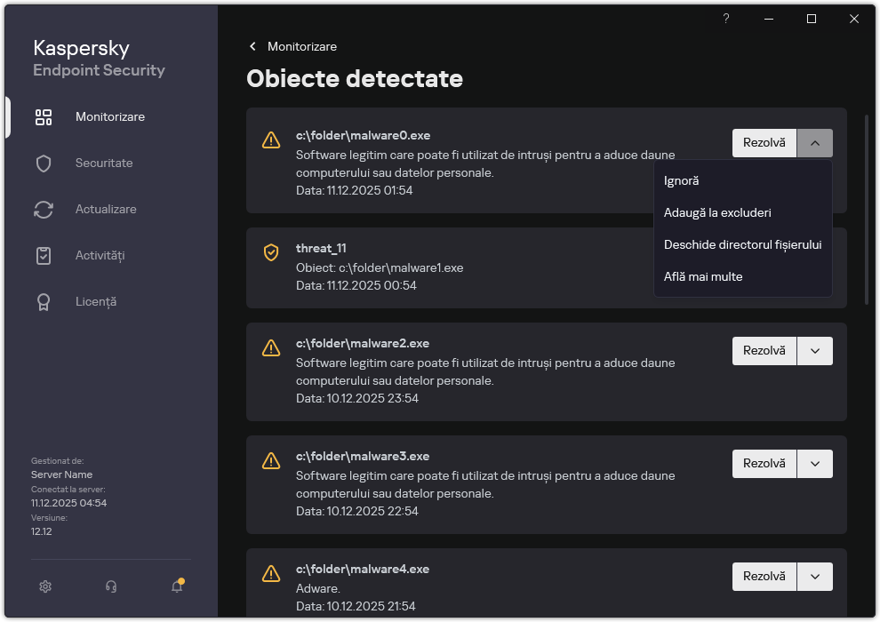 O fereastră cu lista obiectelor detectate. Sunt afișate informații despre obiect. Utilizatorul poate rezolva sau elimina obiectul.