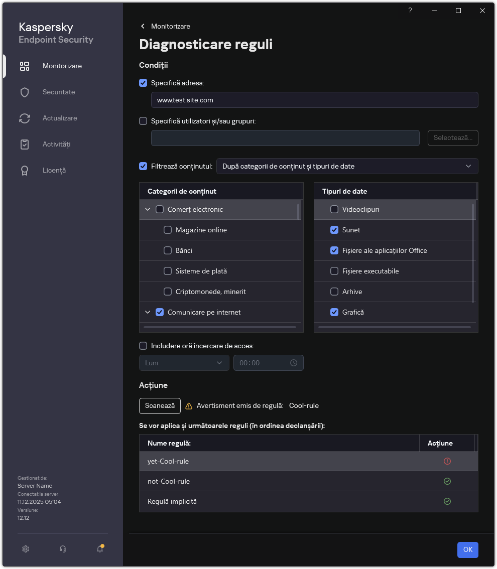 Fereastra cu rezultatele testului resurselor web.