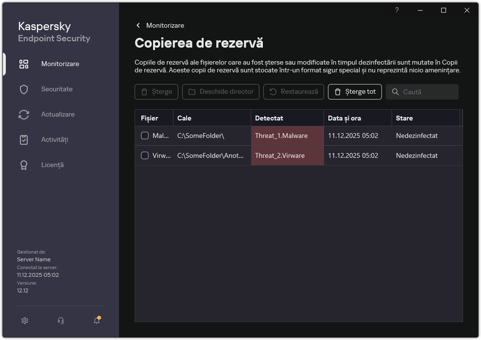 Fereastra Copiere de rezervă. Utilizatorul poate dezinstala sau restaura obiecte din Copie de rezervă.