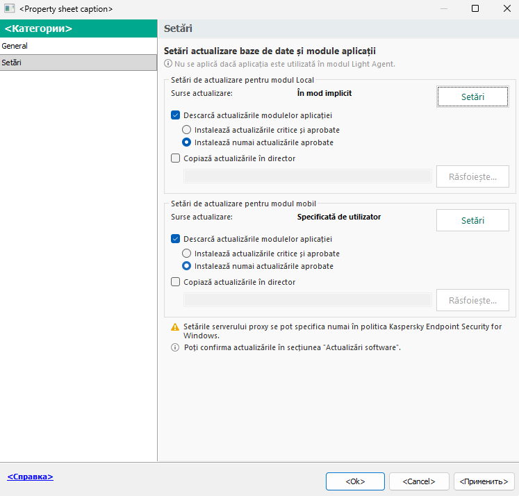 Fereastra Setări activitate de actualizare. Utilizatorul poate configura actualizarea în mod local și mobil.