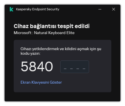 Klavye yetkilendirme kodunun bulunduğu pencere. Kullanıcı, ekran klavyesini etkinleştirebilir ve kodu girebilir.