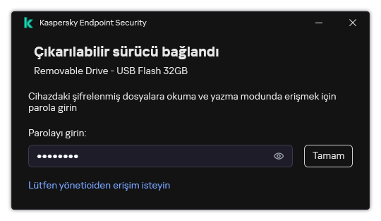 Pencere bir parola giriş alanı içerir. Kullanıcı bir dosya erişim isteği oluşturabilir.