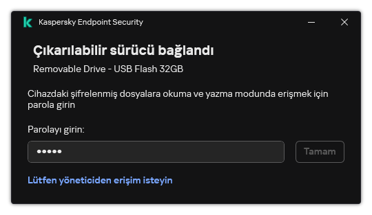 Pencere bir parola giriş alanı içerir. Kullanıcı bir dosya erişim isteği oluşturabilir.