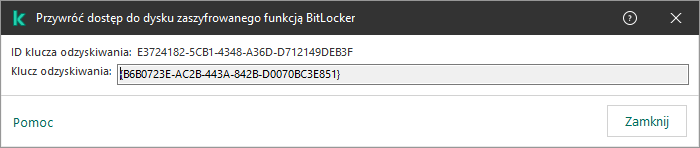 Okno z kluczem do przywrócenia dostępu do zaszyfrowanego dysku niesystemowego.