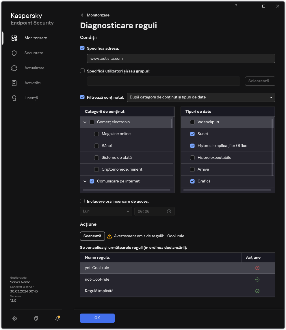 Fereastra cu rezultatele testului resurselor web.