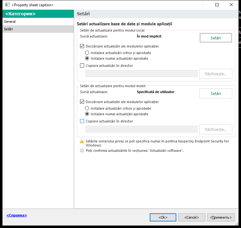 Fereastra Setări activitate de actualizare. Utilizatorul poate configura actualizarea în mod local și mobil.