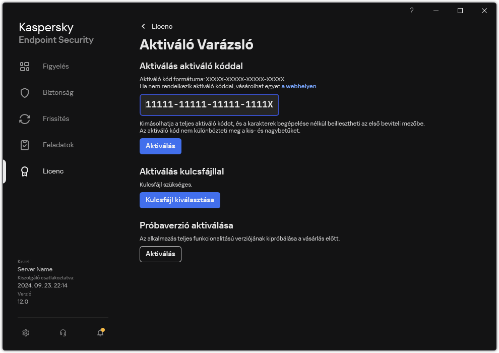 Ablak az alkalmazás aktiválására szolgáló eszközökkel. A felhasználó megadhat egy aktiváló kódot, vagy kiválaszthat egy kulcsfájlt.