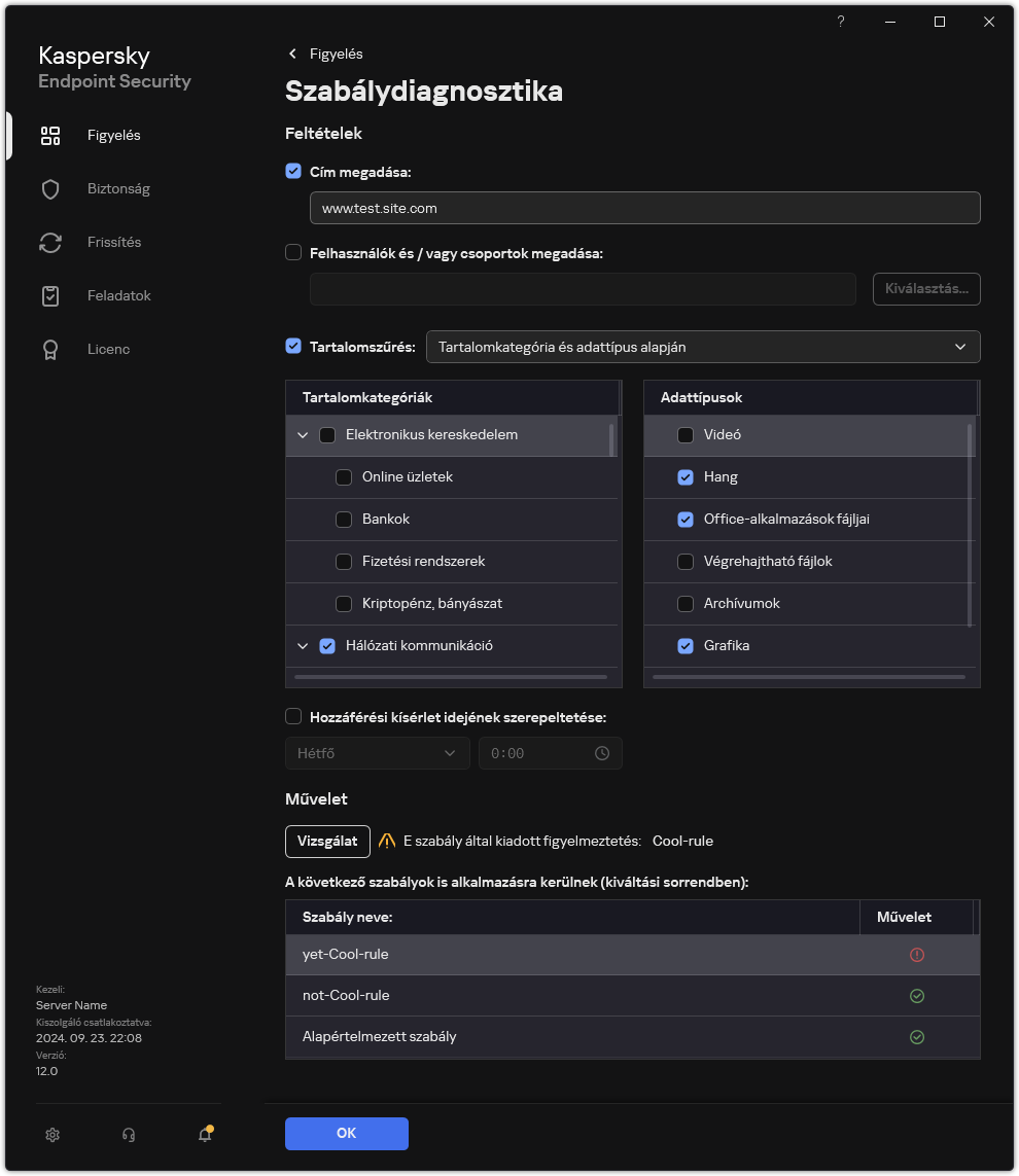 Webes erőforrás teszteredményei ablak.