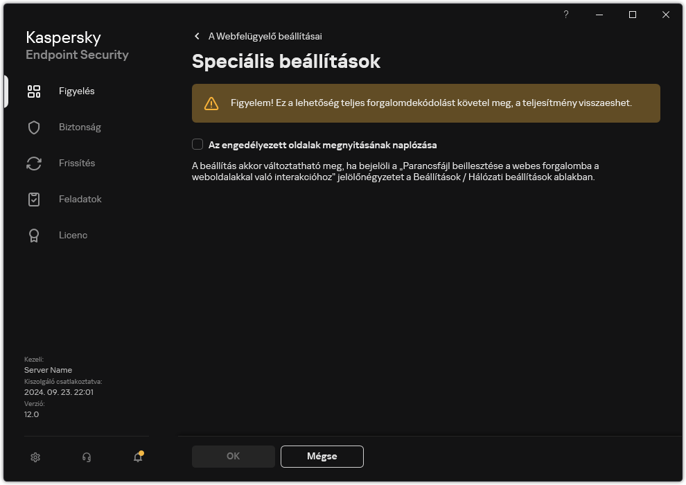 A Webfelügyelő speciális beállításainak ablaka.