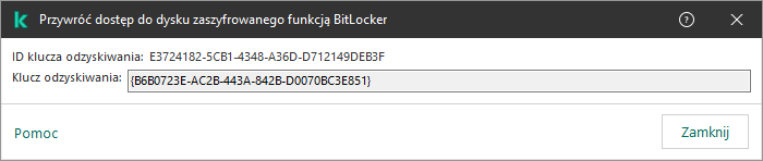 Okno z kluczem do przywrócenia dostępu do zaszyfrowanego dysku niesystemowego.