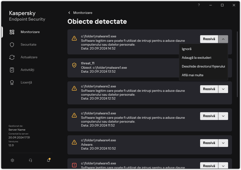 O fereastră cu lista obiectelor detectate. Sunt afișate informații despre obiect. Utilizatorul poate rezolva sau elimina obiectul.