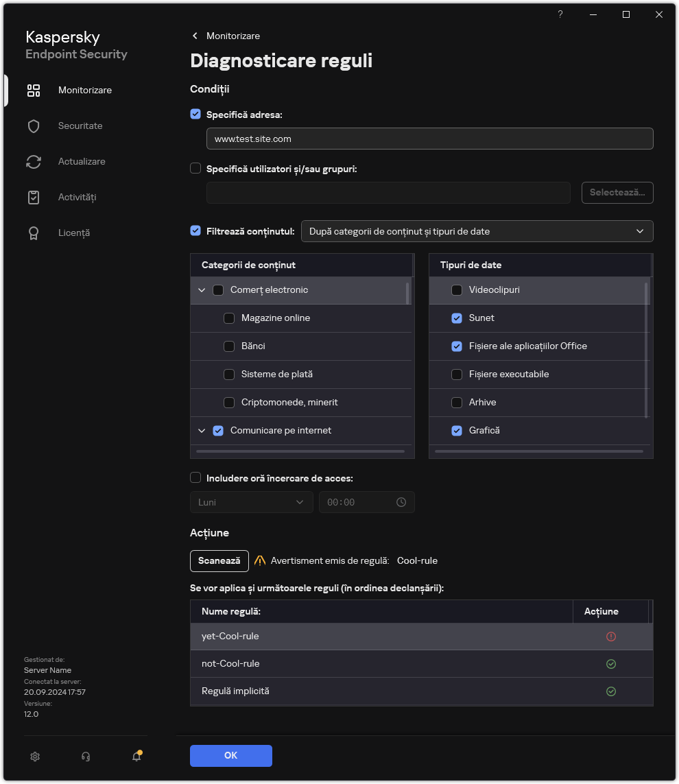 Fereastra cu rezultatele testului resurselor web.