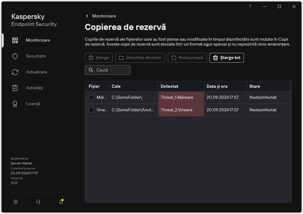 Fereastra Copiere de rezervă.