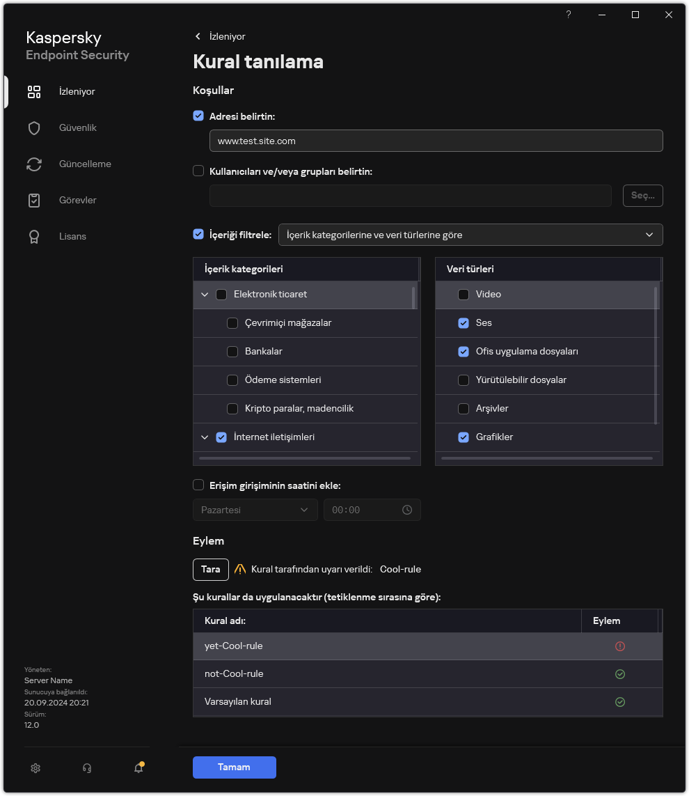 Web kaynağı test sonuçları penceresi.