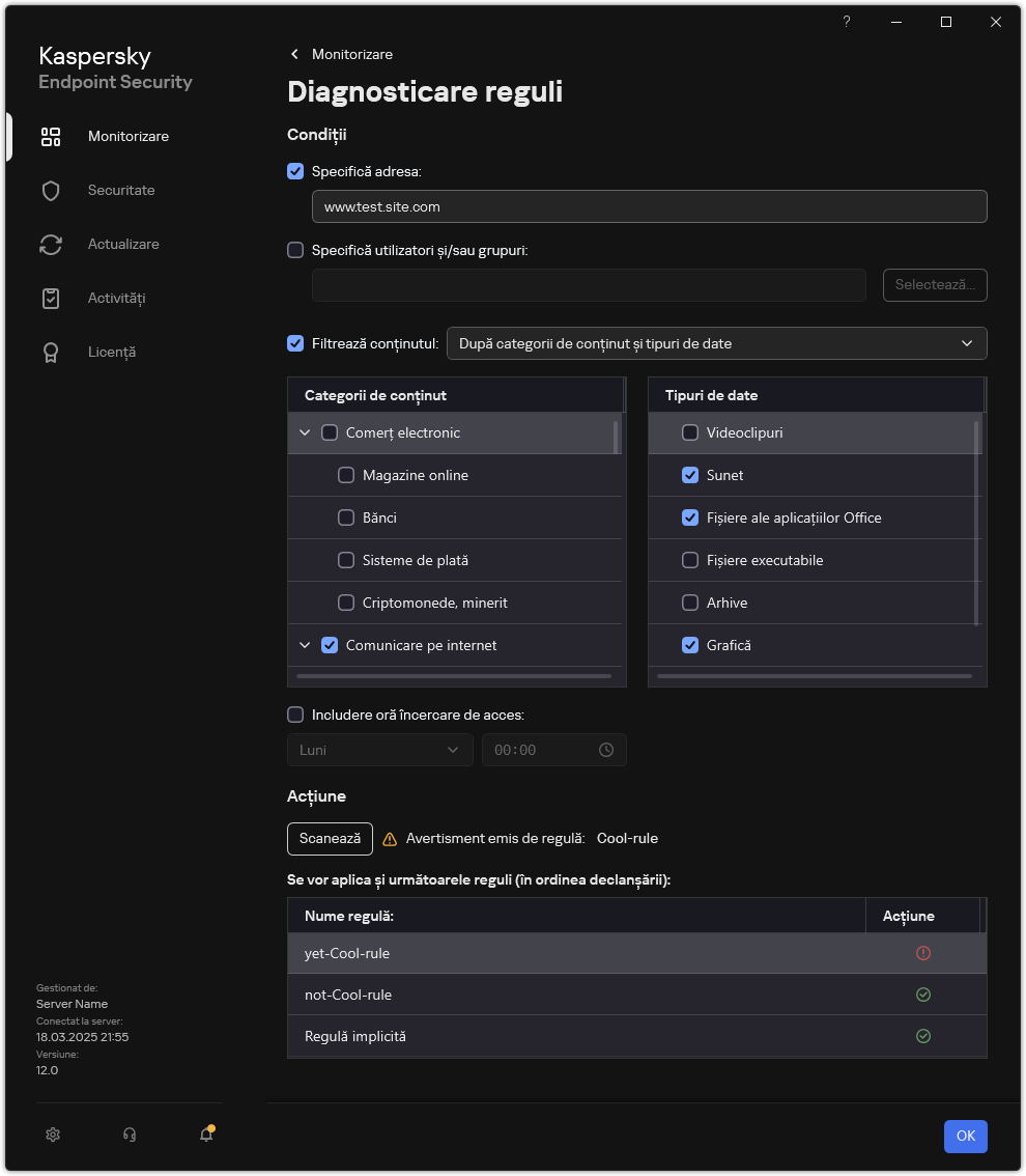 Fereastra cu rezultatele testului resurselor web.