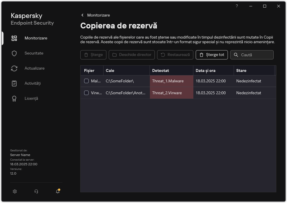 Fereastra Copiere de rezervă.