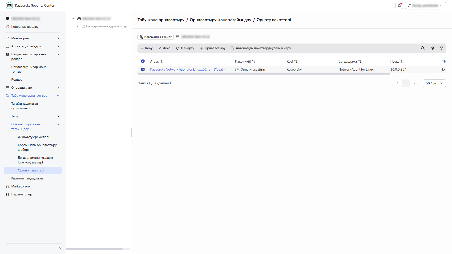 Орнату пакеттері бөлімінде таңдалған орнату пакеті.