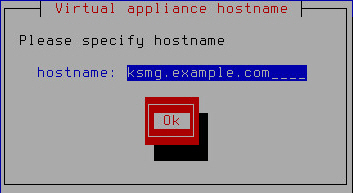 Specifying the DNS hostname