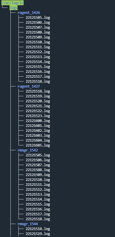 1c-log-fileStructure