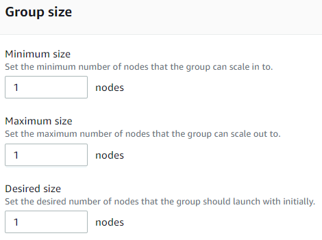 Group size: Minimum size = 1, Maximum size = 1, Desired size = 1.