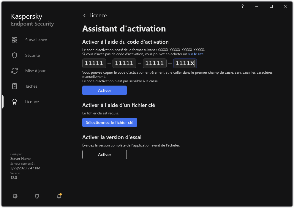 Fenêtre avec les outils d'activation de l'application. L'utilisateur peut saisir un code d'activation ou sélectionnez un fichier clé.
