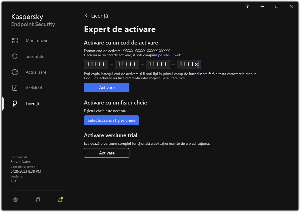 Fereastra cu instrumentele de activare a aplicației. Utilizatorul poate introduce un cod de activare sau poate selecta un fișier cheie.