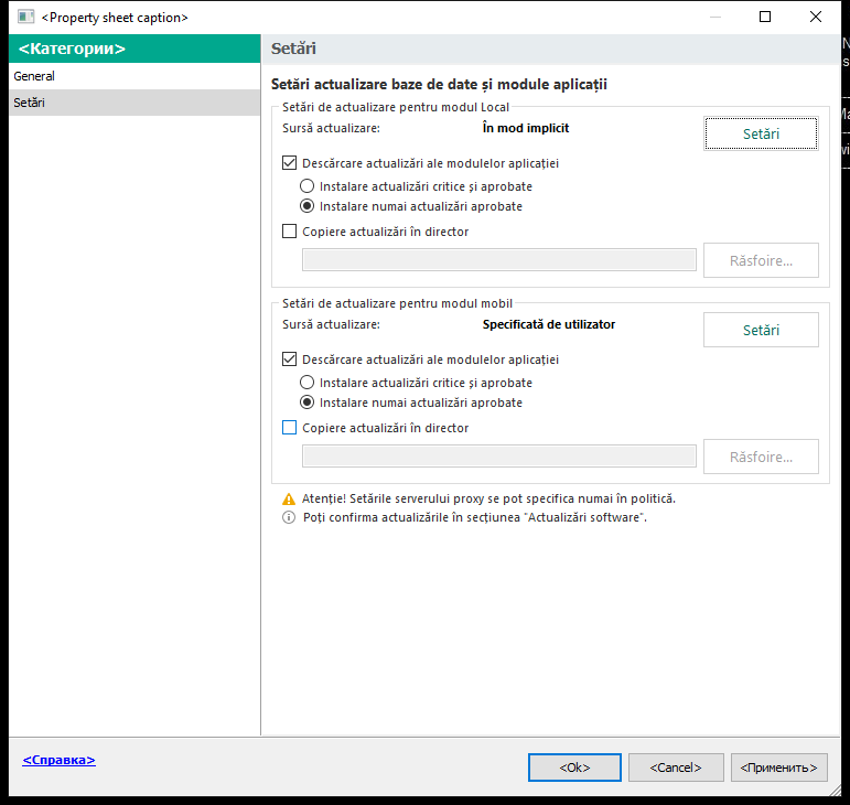 Fereastra Setări activitate de actualizare. Utilizatorul poate configura actualizarea în mod local și mobil.