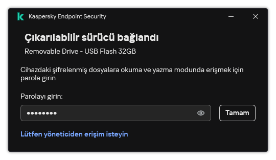 Pencere bir parola giriş alanı içerir. Kullanıcı bir dosya erişim isteği oluşturabilir.