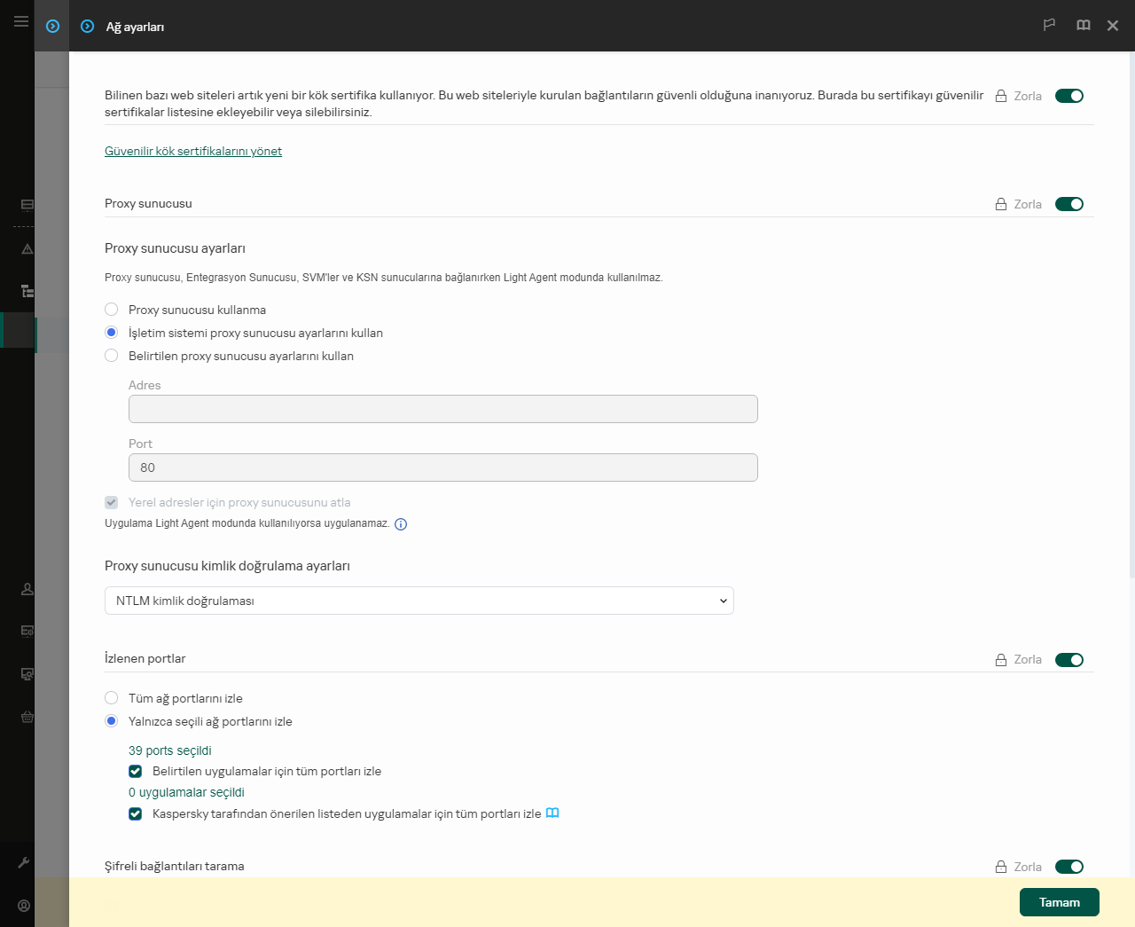 Uygulama ağ ayarları penceresi. Kullanıcı proxy sunucusu ayarlarını yapılandırabilir.